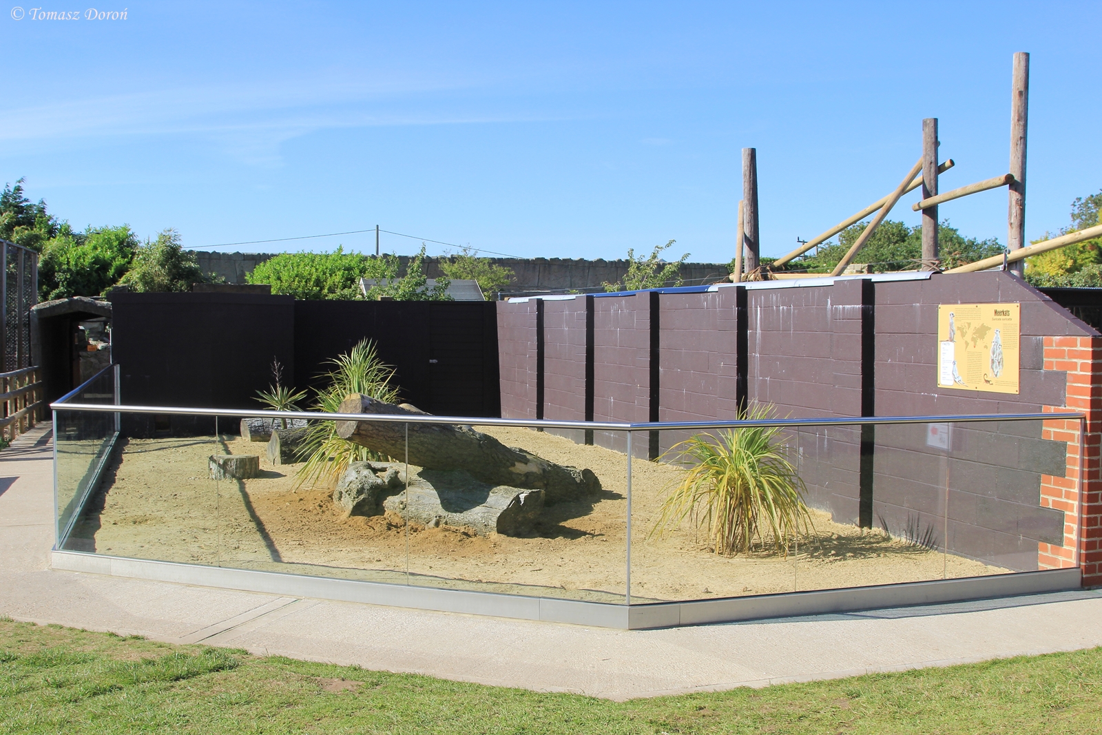 Meerkats enclosure