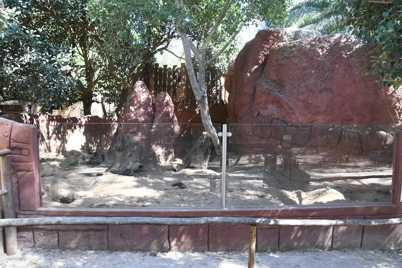 Meerkats exhibit