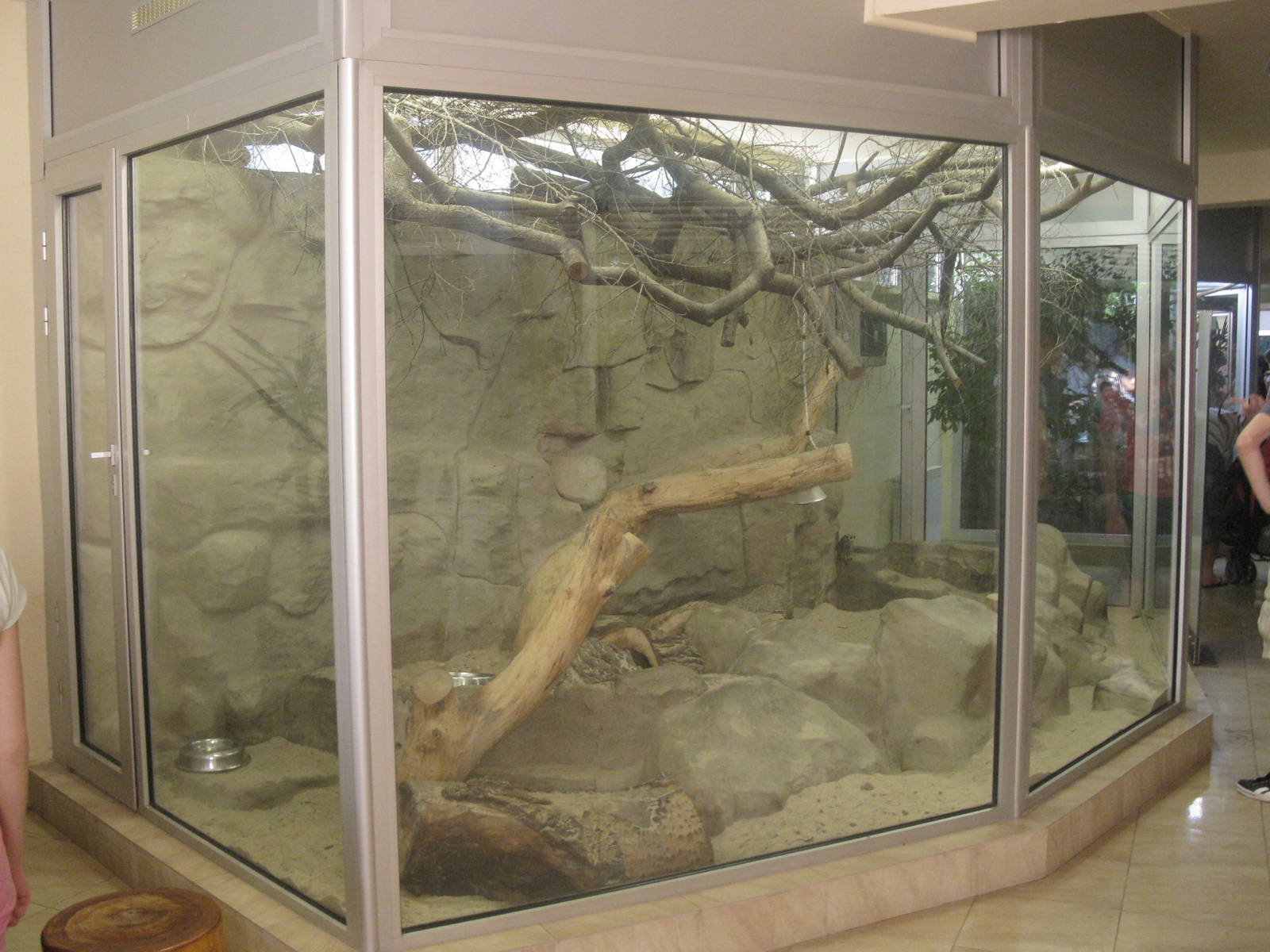 Meerkat's indoor exhibit