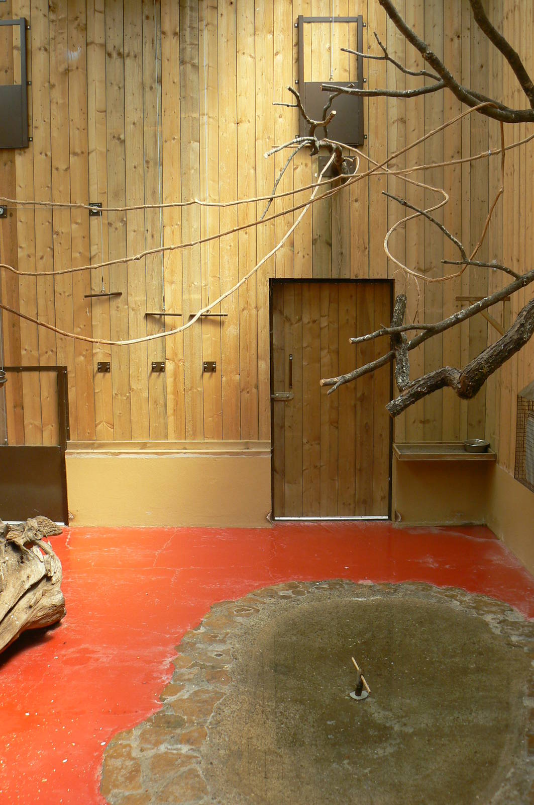 Meerkats, red-billed hornbills and waldrapp ibises exhibit