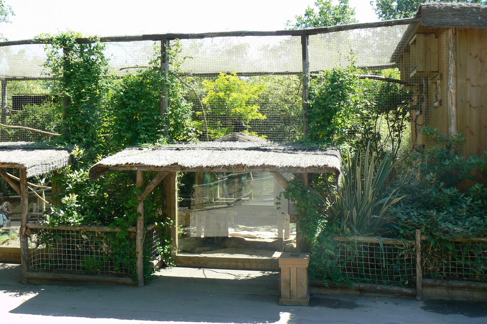 Meerkats, red-billed hornbills and waldrapp ibises exhibit