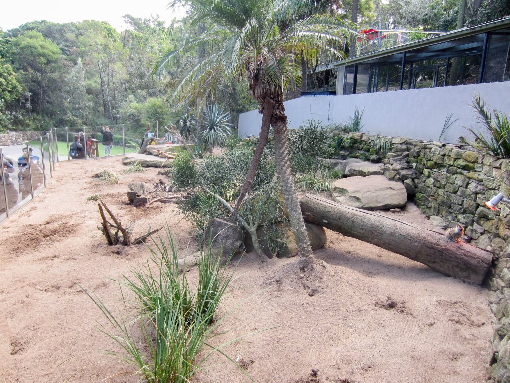 Meerrkat enclosure - interior