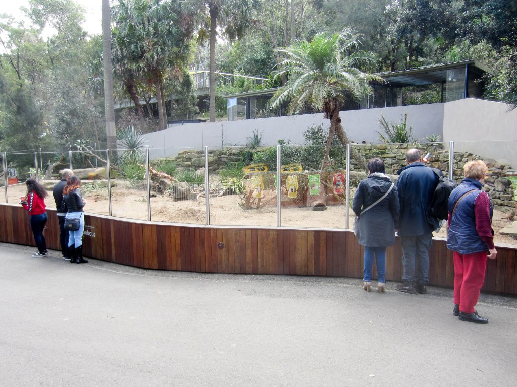 Meerrkat enclosure
