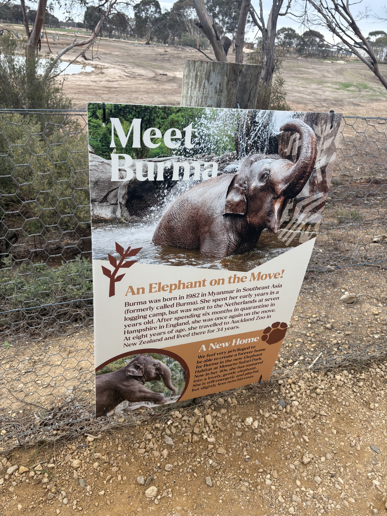 Meet Burma sign