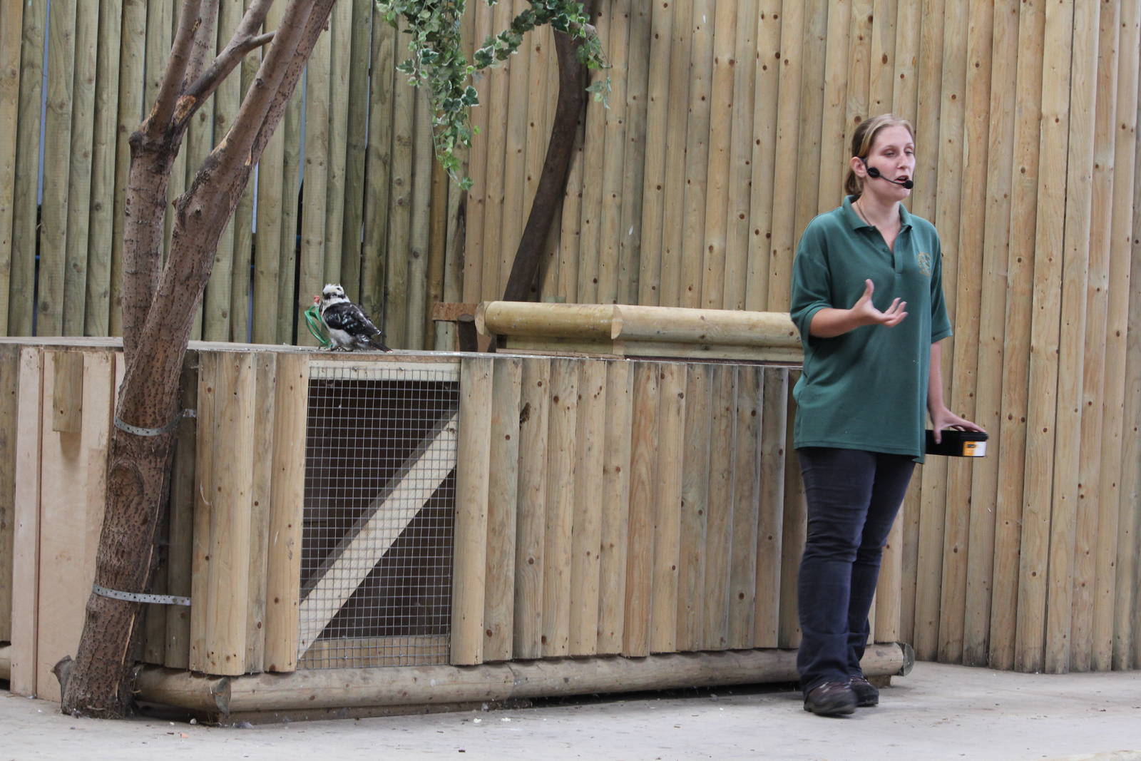 Meet the animals show. 15-8-14