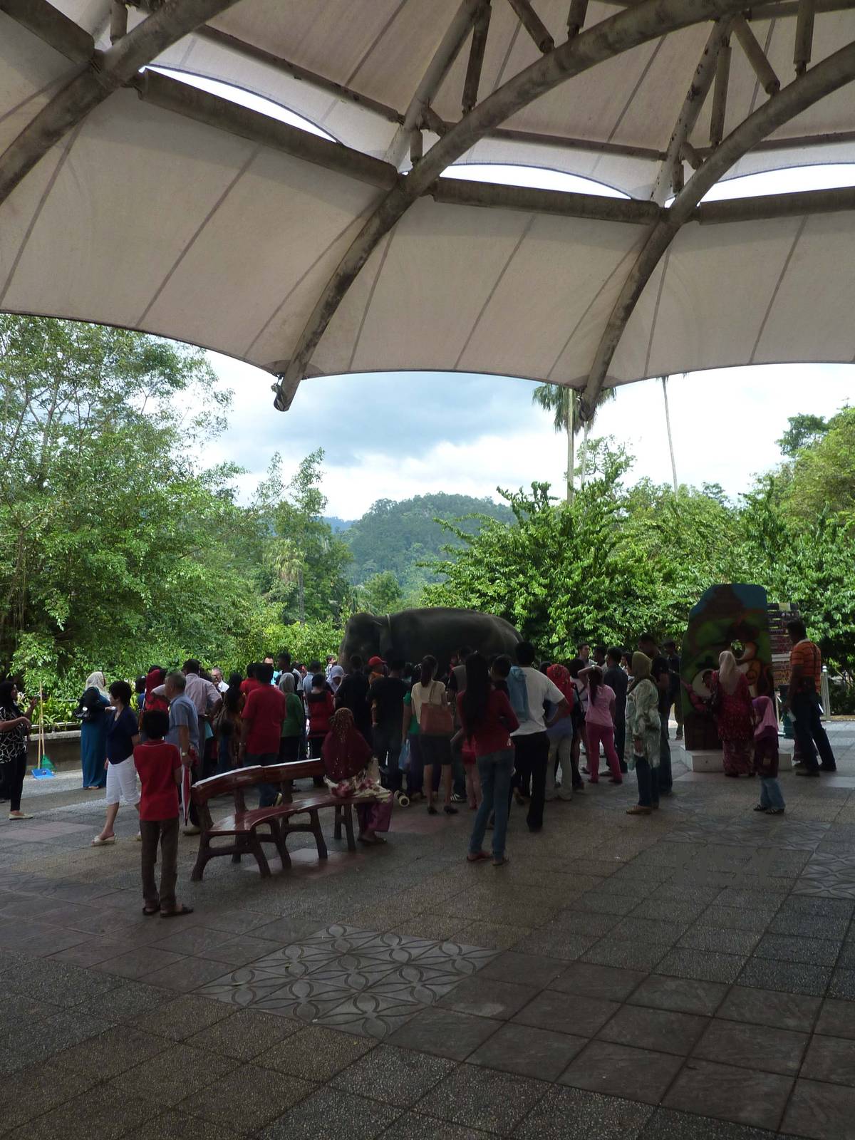 Meet the elephant, May 2013