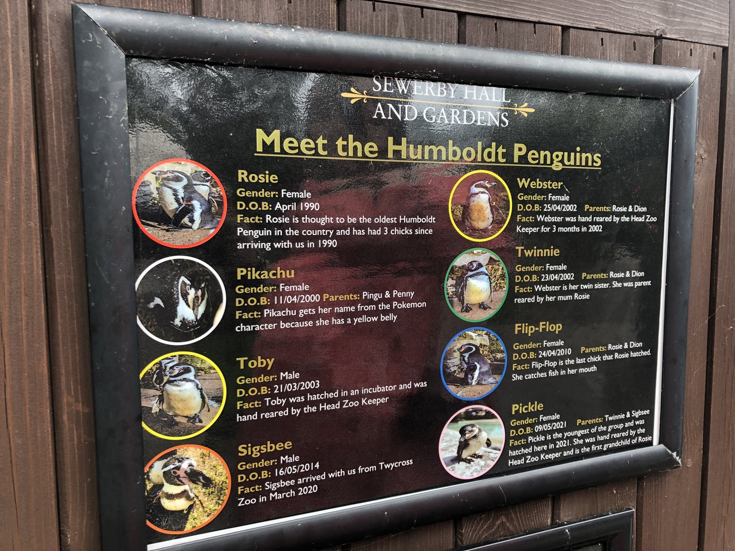 Meet the Penguins Sign at Sewerby Zoo (June 2023)