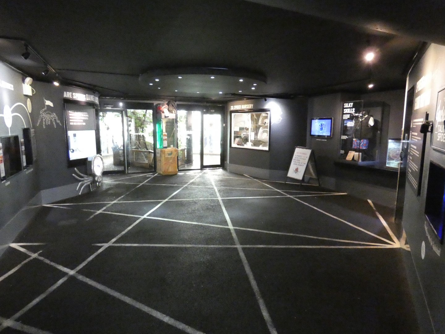 Meet the Spiders enclosure