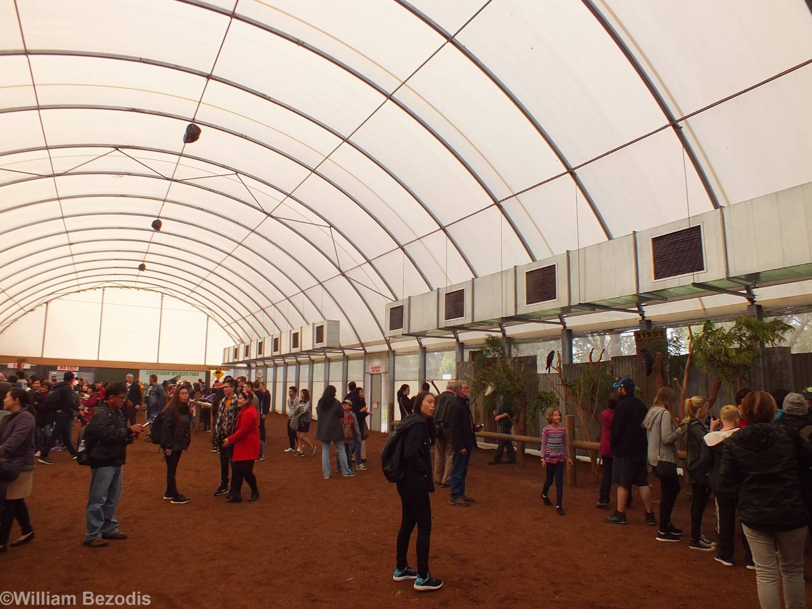 'Meet the Wombat and Friends' Show Area - Caversham Wildlife Park