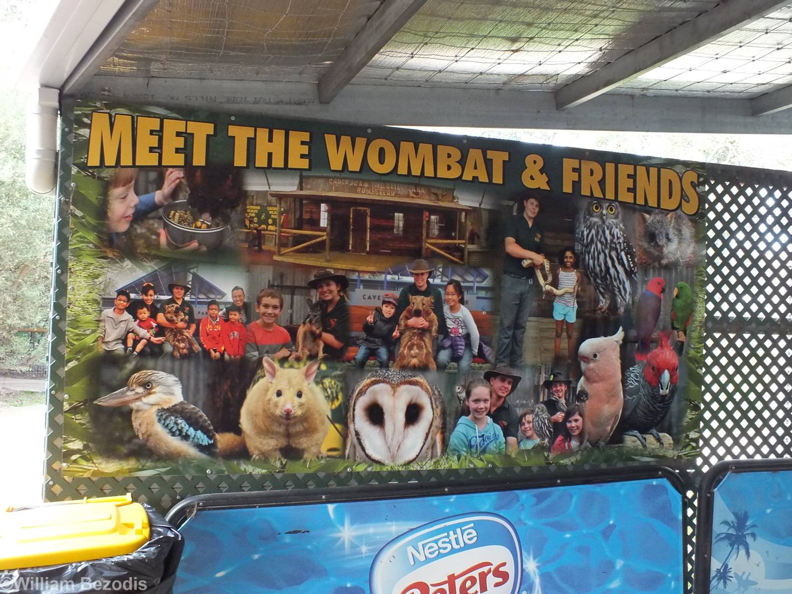 'Meet the Wombat and Friends' Show Sign - Caversham Wildlife Park