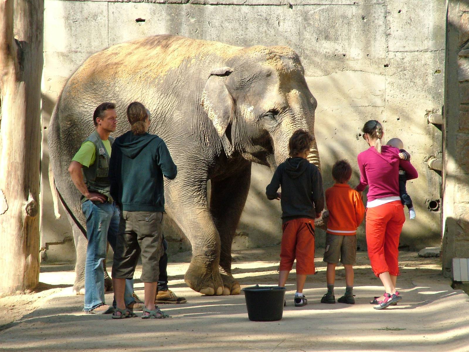 Meeting an Elephant at Liberec, 28/08/12