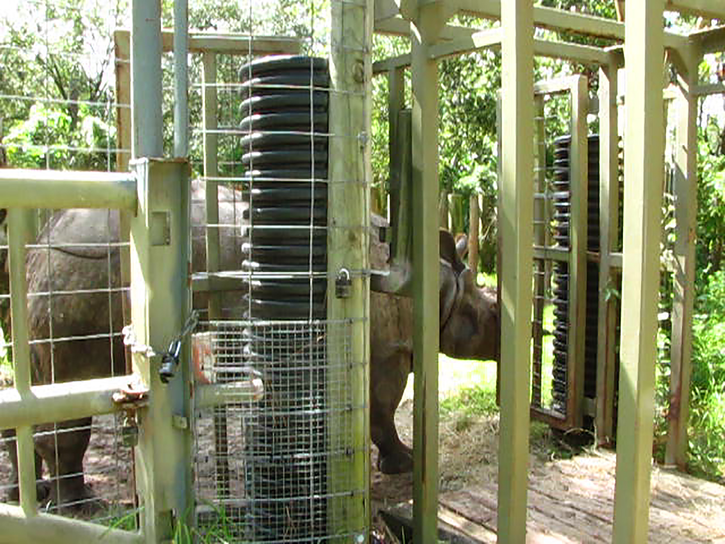 Meeting Arjun (Naboo)