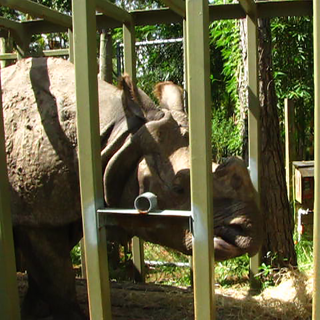 Meeting Arjun (Naboo)