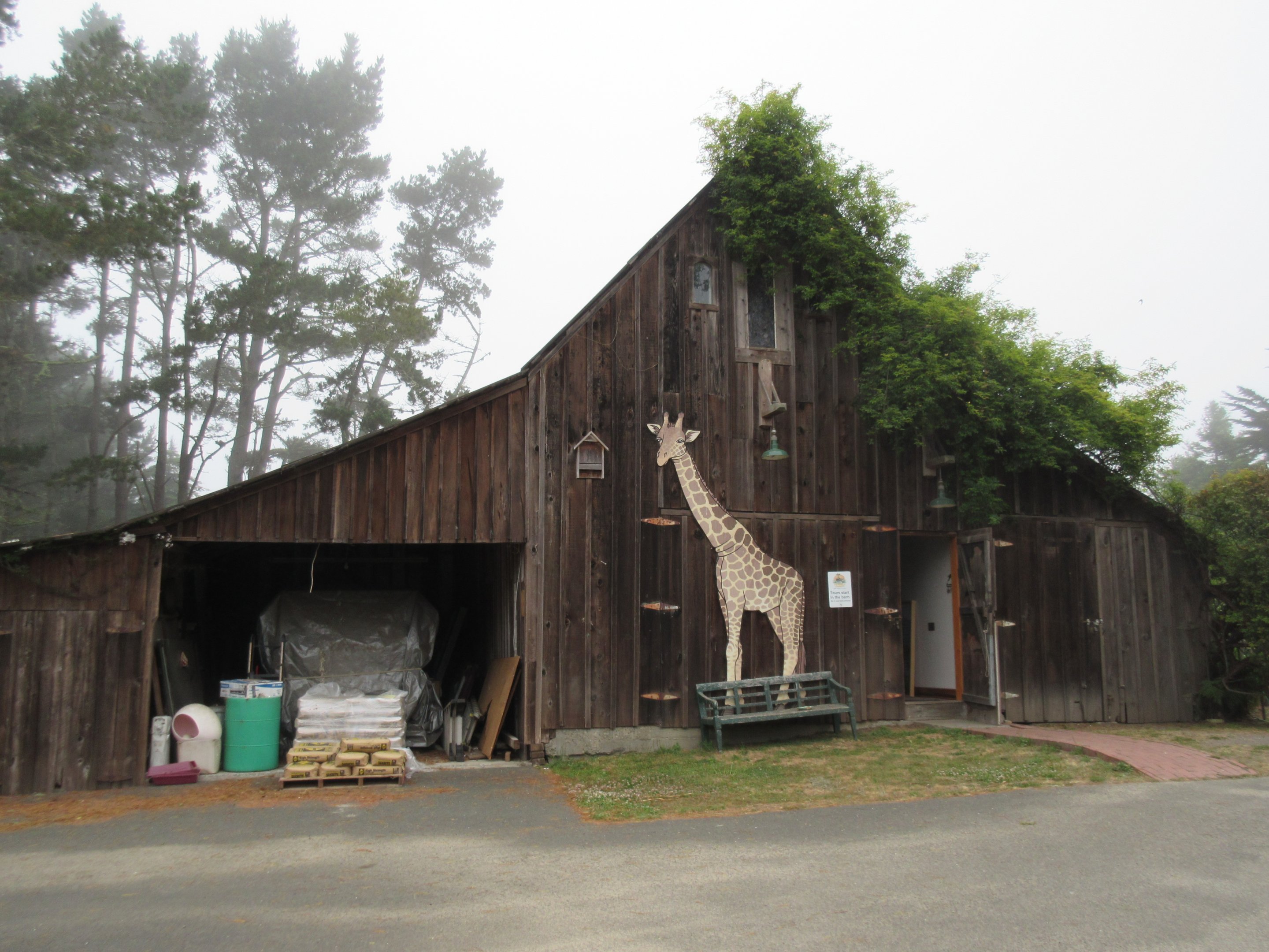 Meeting Place (an old barn) - on a foggy day