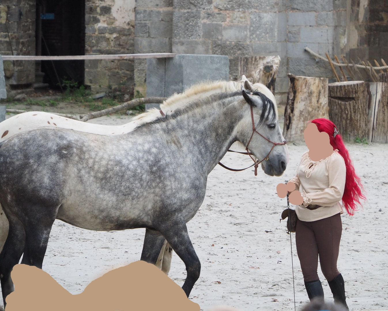 Meeting The Animals show - Domestic horse training, 2022-09-15