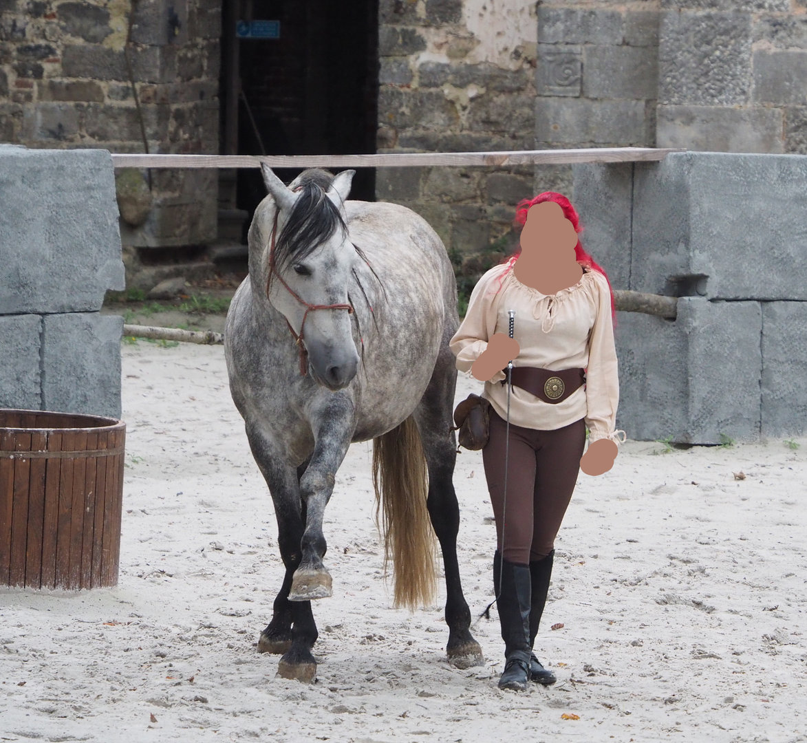 Meeting The Animals show - Domestic horse training, 2022-09-15