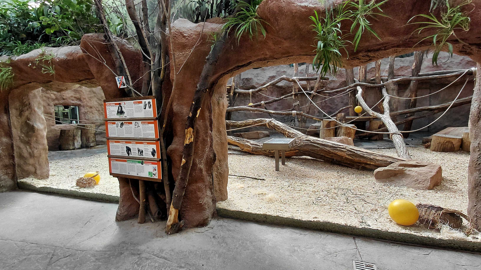 Méfou - indoor gorilla exhibit