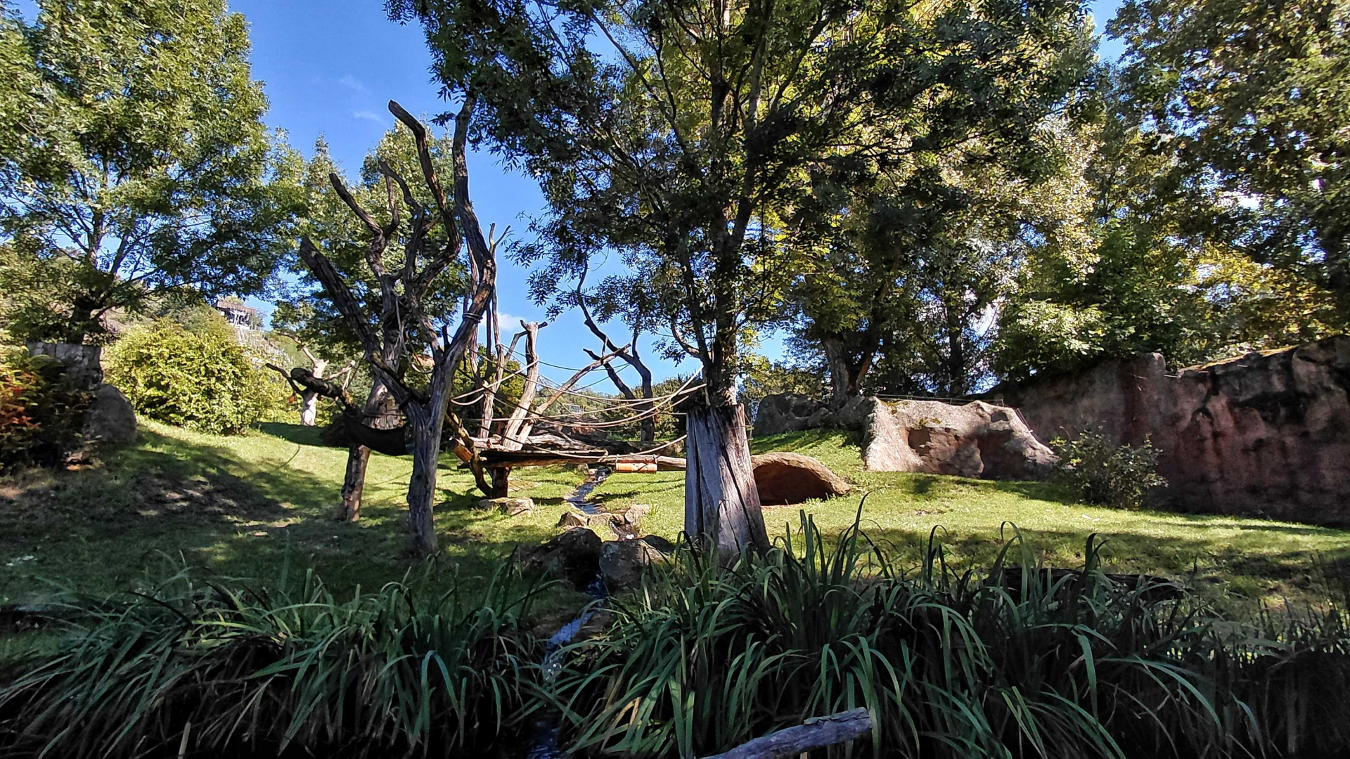 Méfou - outdoor gorilla exhibit