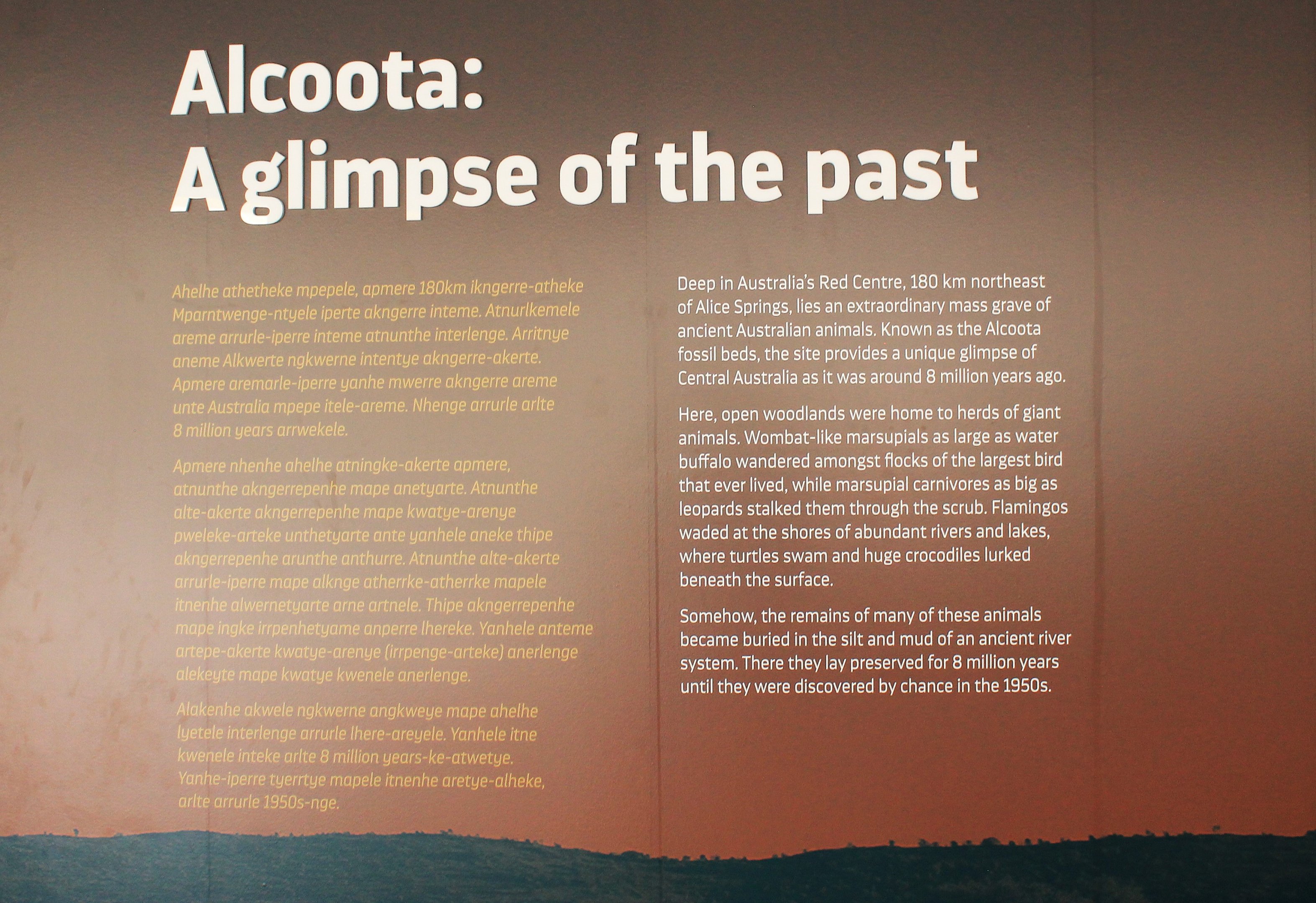 Megafauna Central museum, Alice Springs