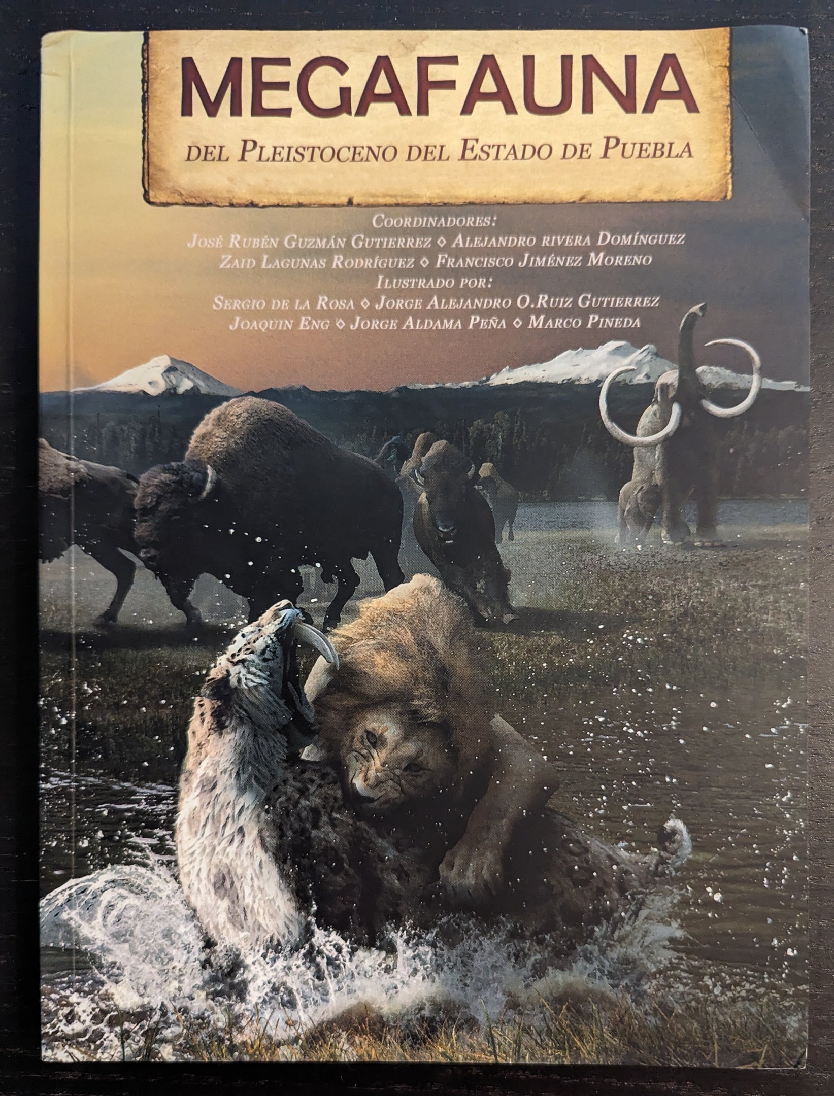 Megafauna Del Pleistoceno Del Estado De Puebla