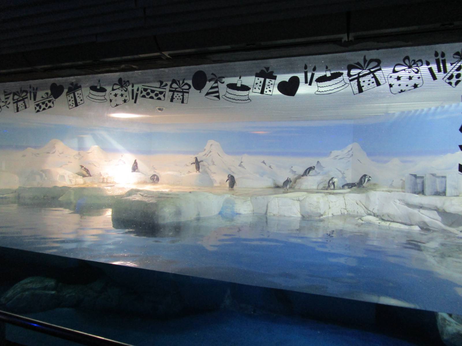 Megallenic Penguin Enclosure