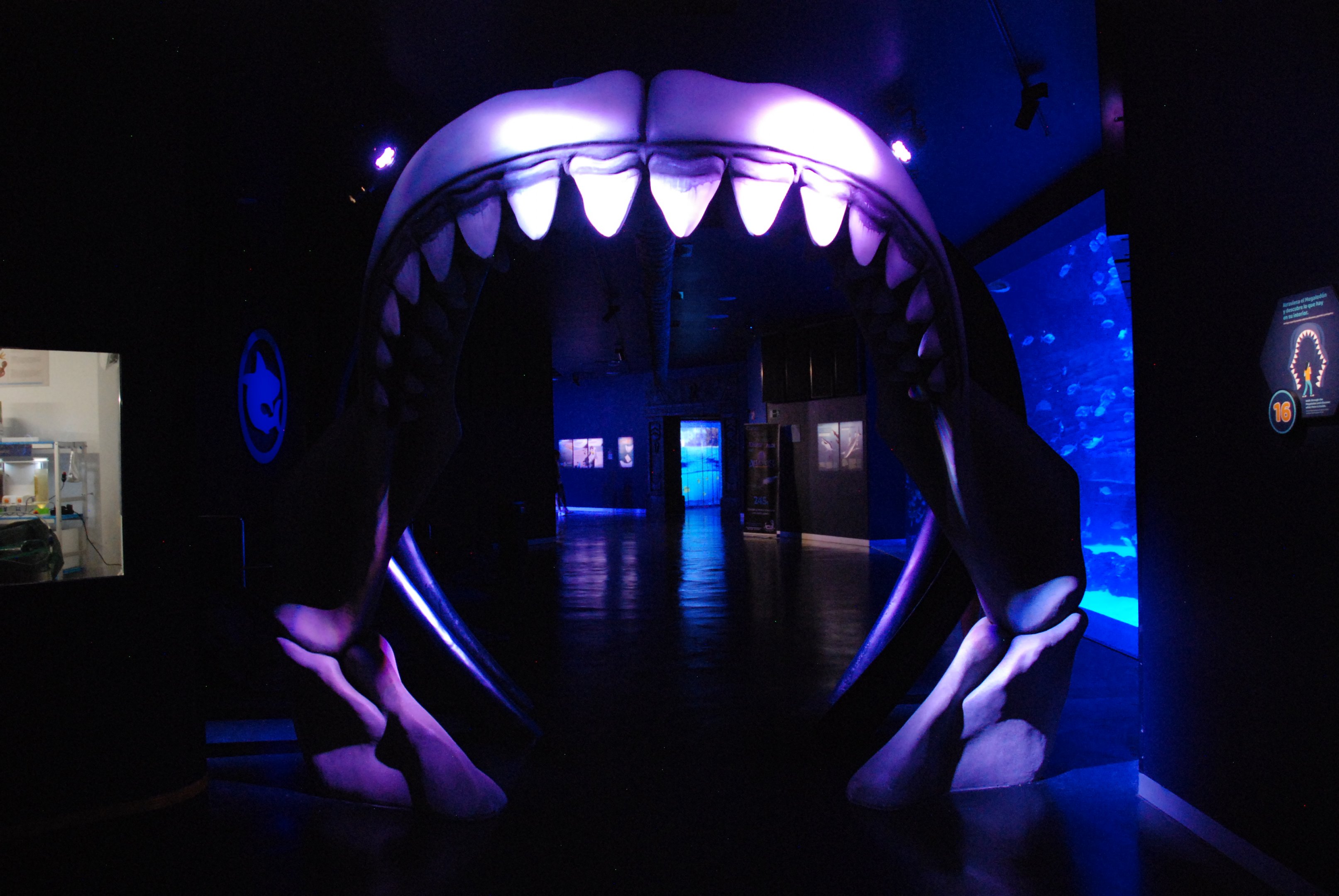 Megalodon Gateway at Atlantis Aquarium Madrid, 20th May 2022