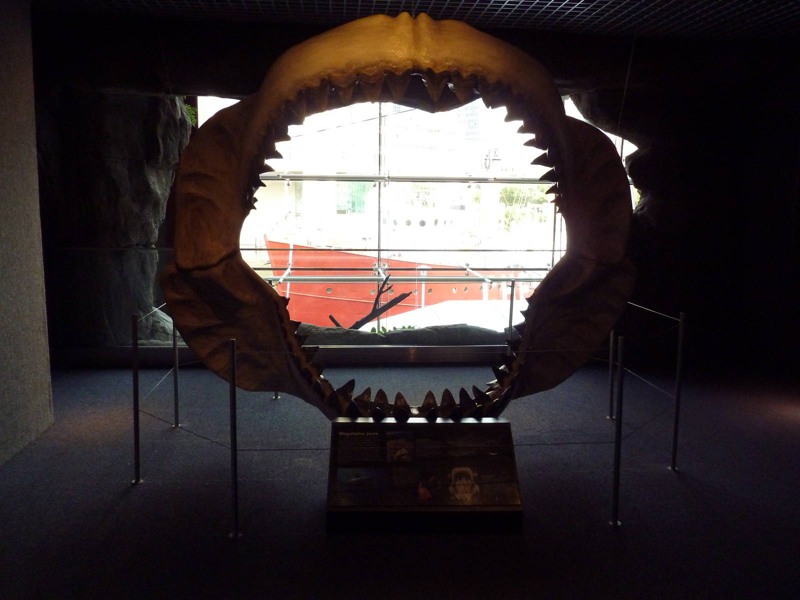 Megalodon Jaws