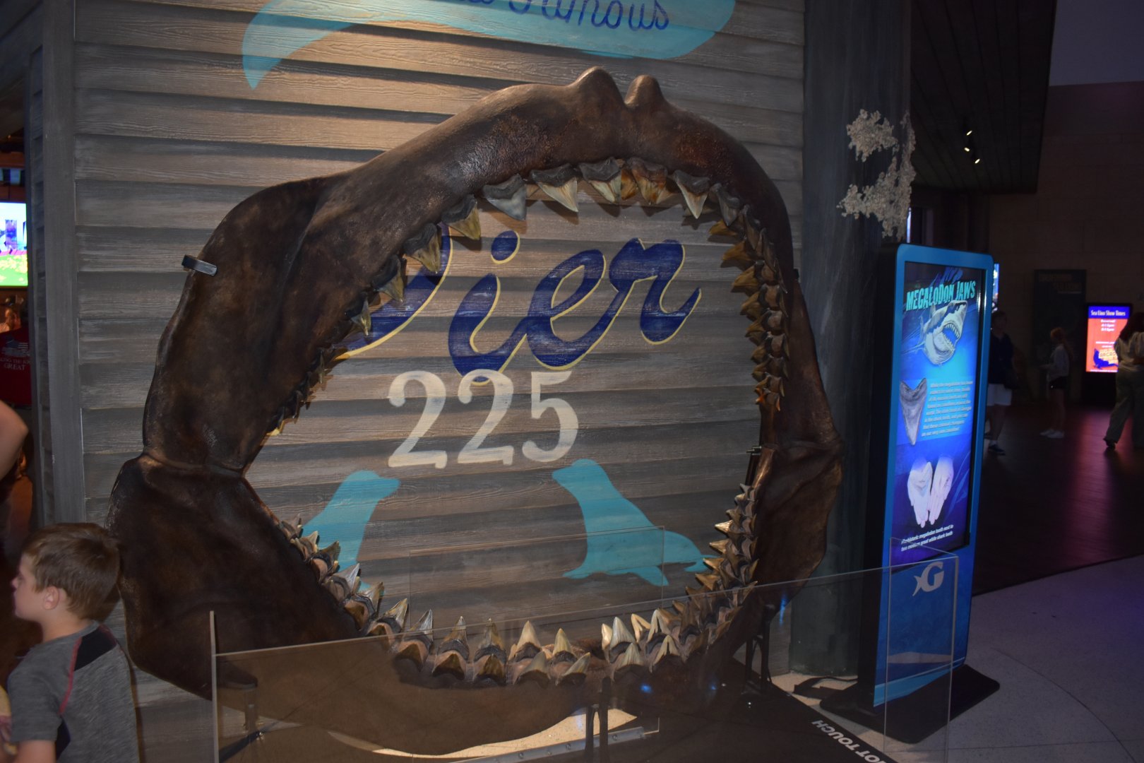 Megalodon Jaws