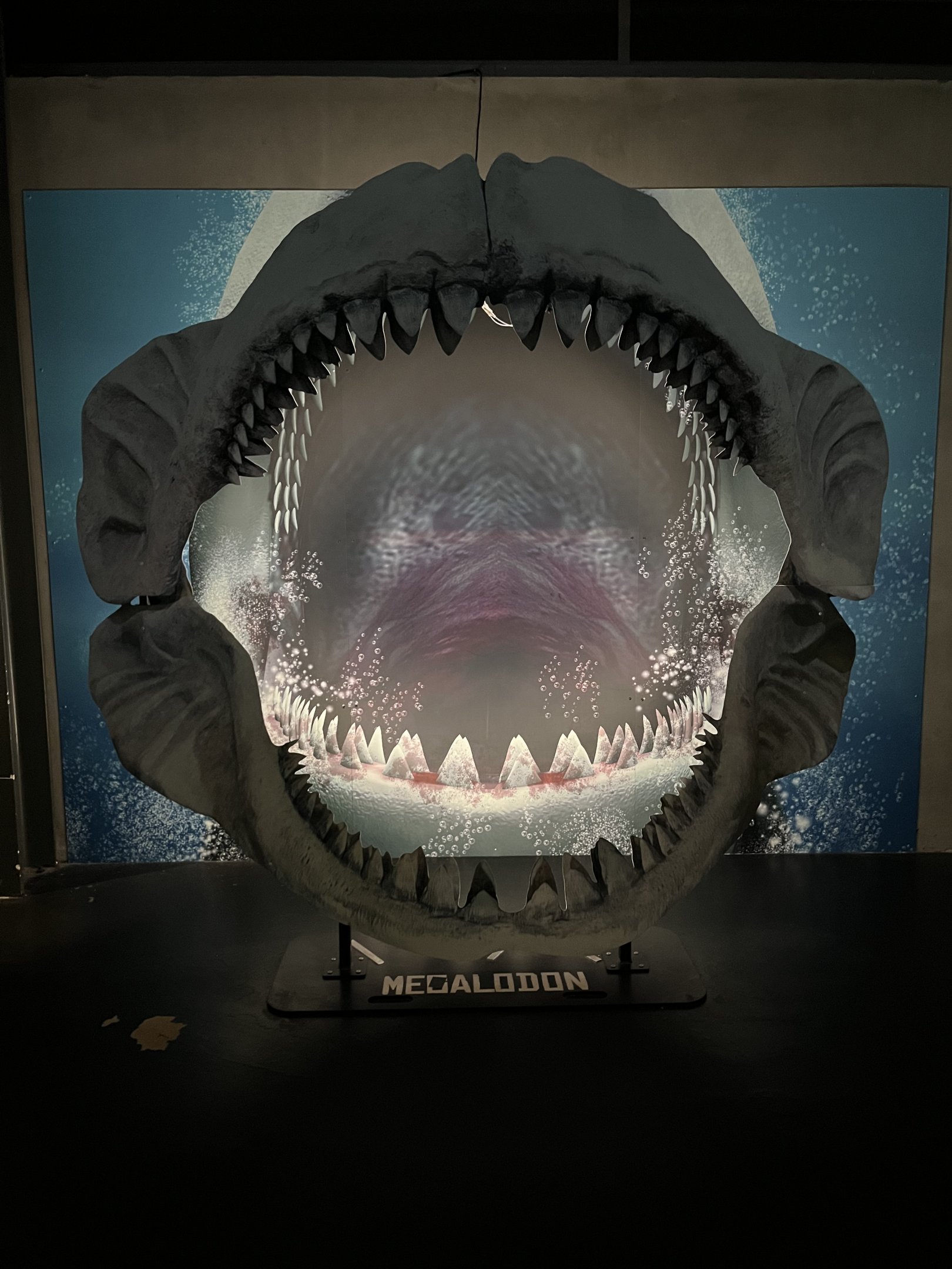 Megalodon