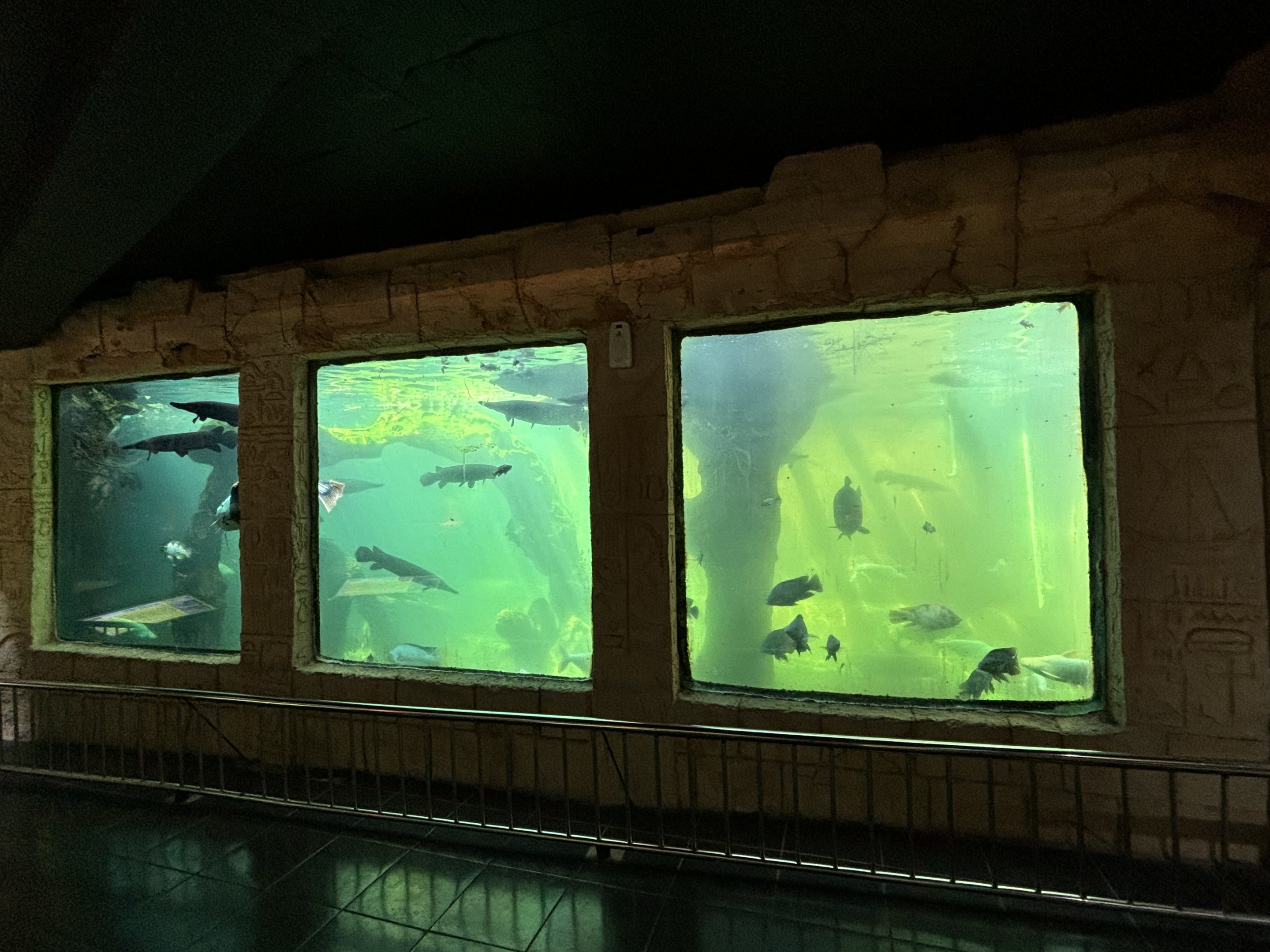 Megatank 10,000 Liter Exhibit