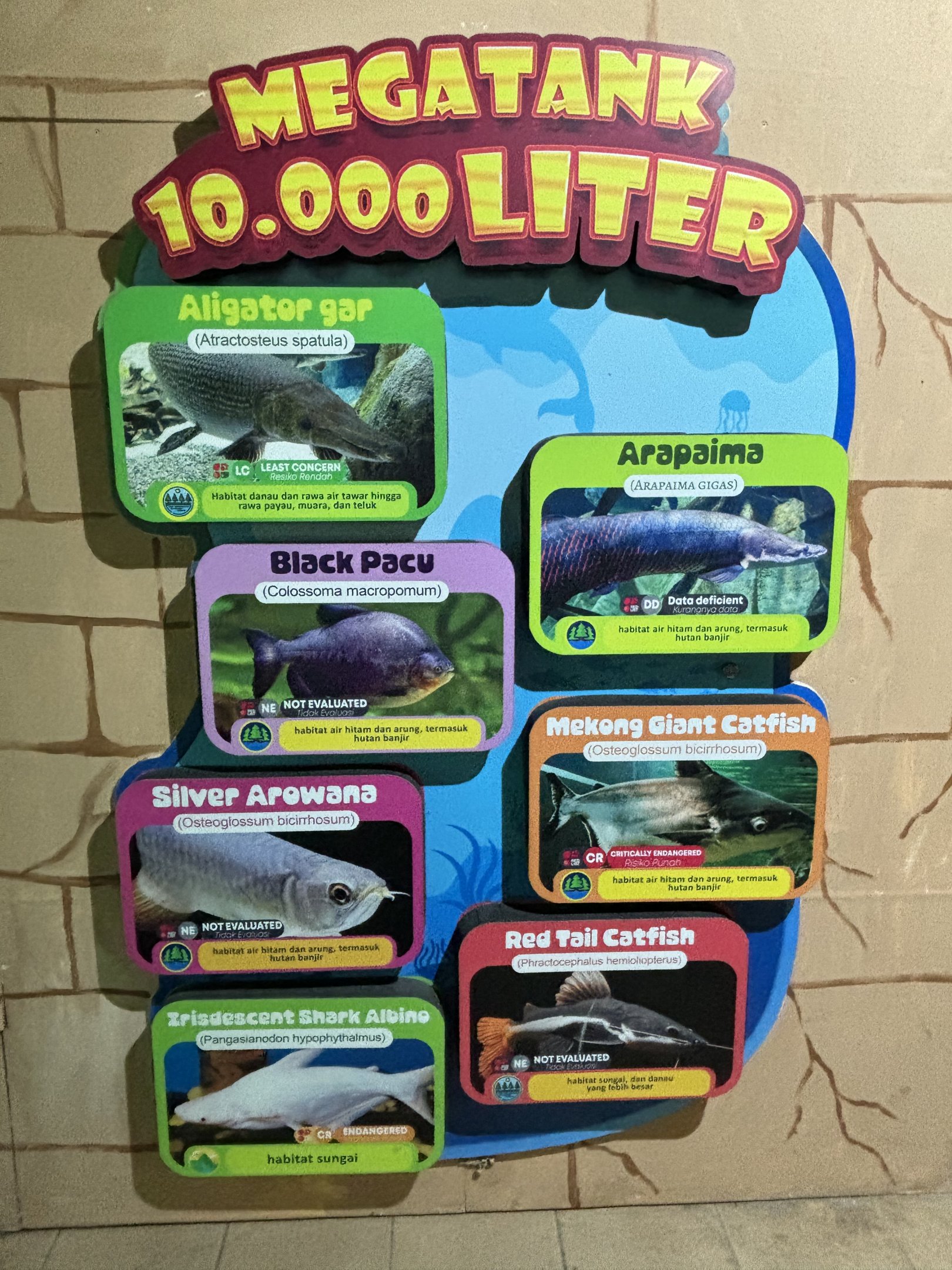 Megatank 10,000 Liter Exhibit