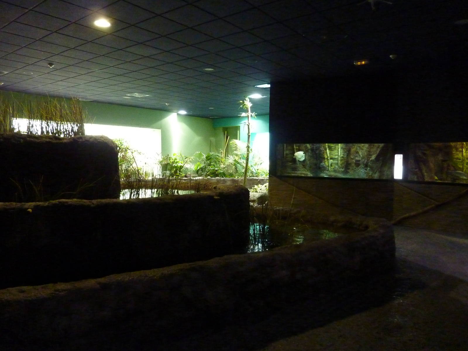 Mekong area, 10th April 2012