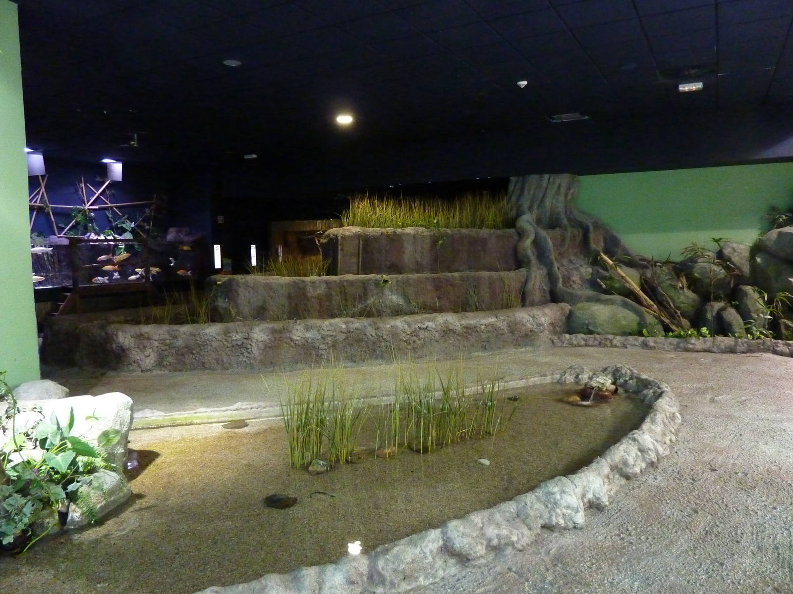 Mekong area, 10th April 2012