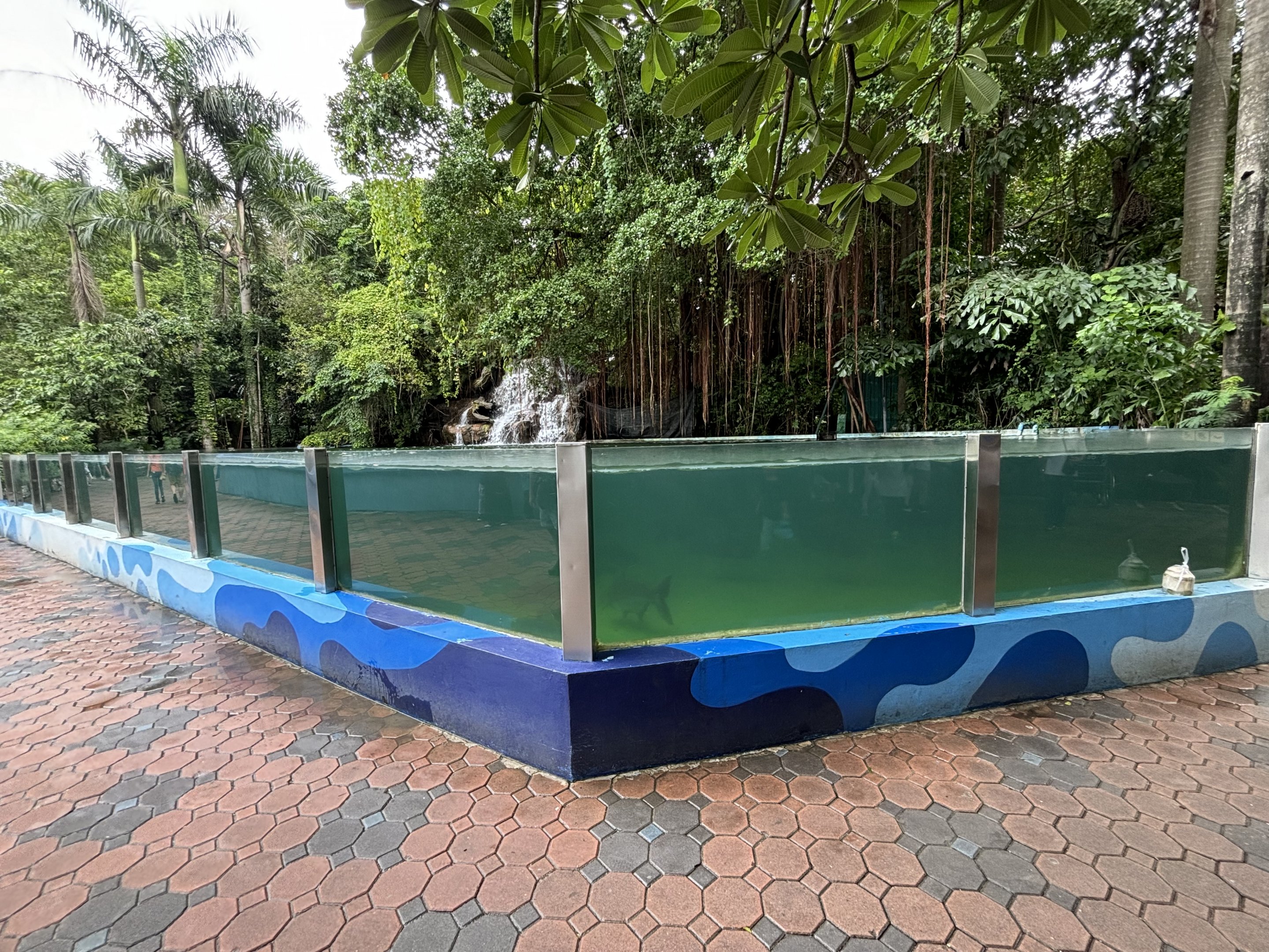 Mekong Giant Catfish Exhibit