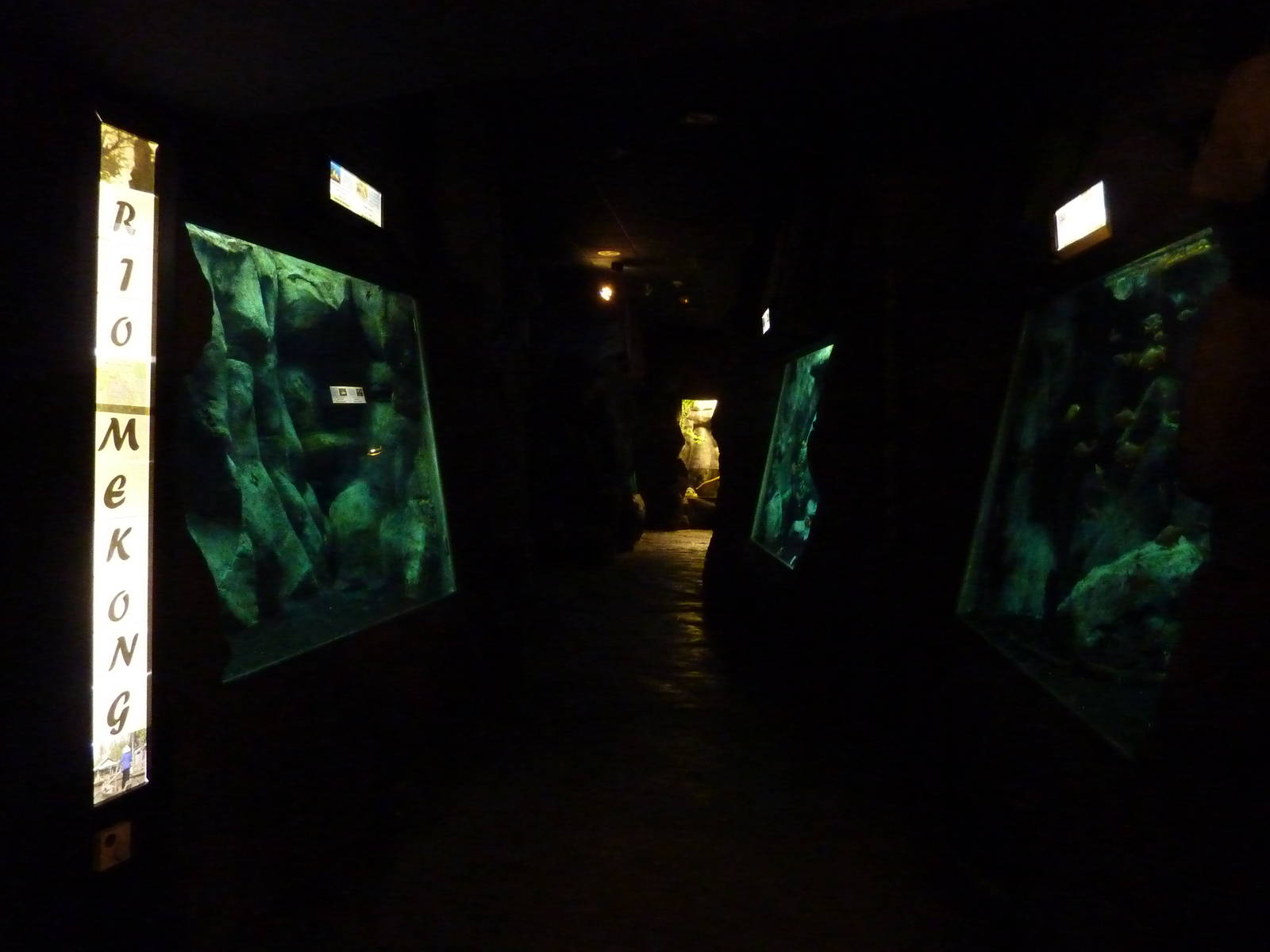 Mekong river area, 10th April 2012