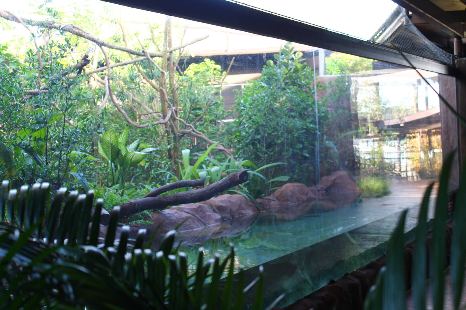 Mekong River - Crab-eating Macaque exhibit
