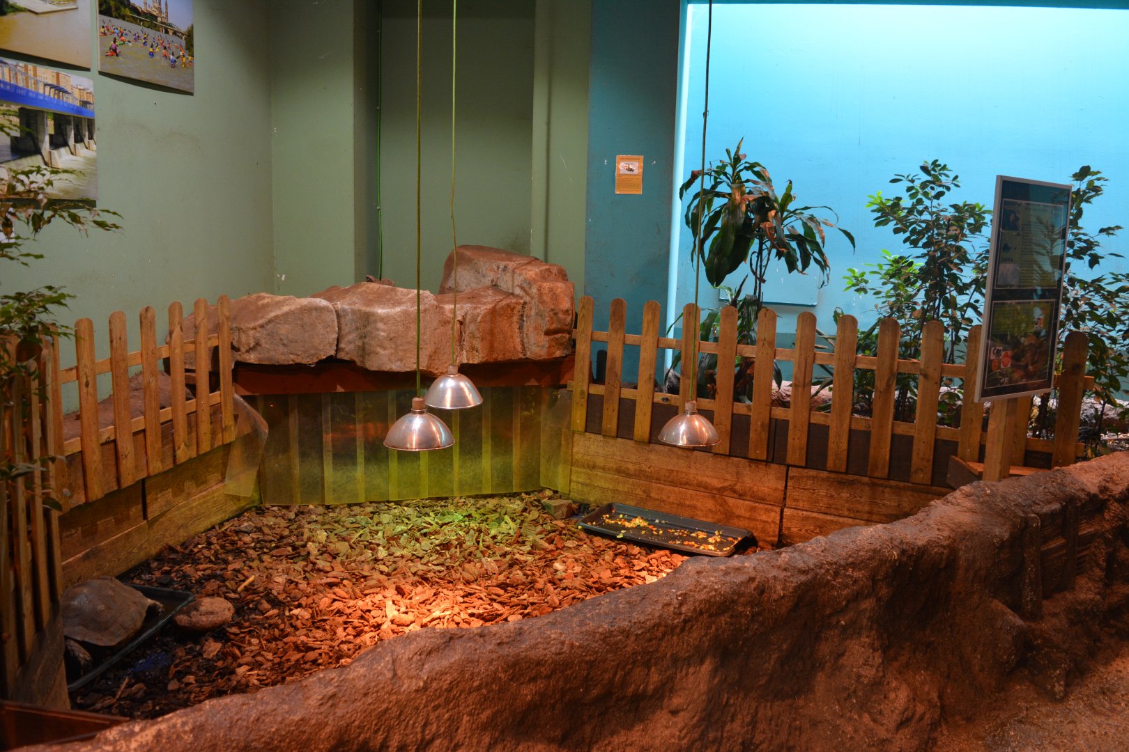 Mekong River - Enclosure for asian brown tortoises