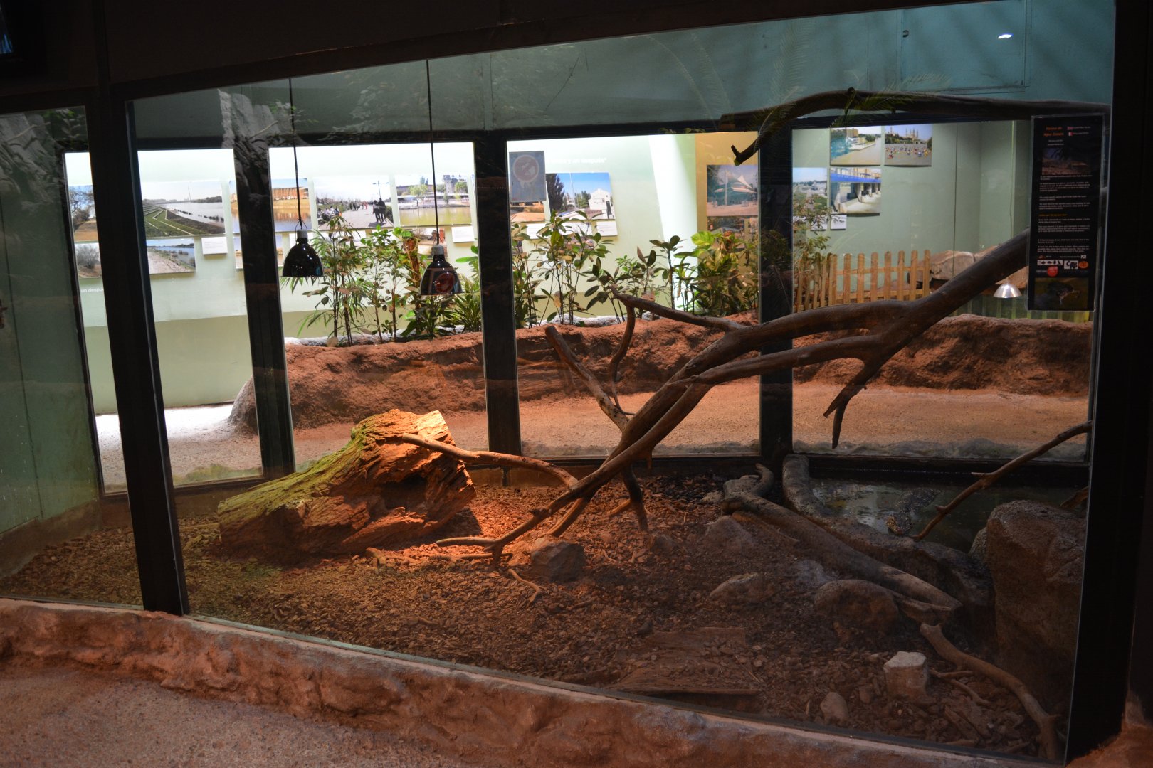 Mekong River - Enclosure for Asian water monitors