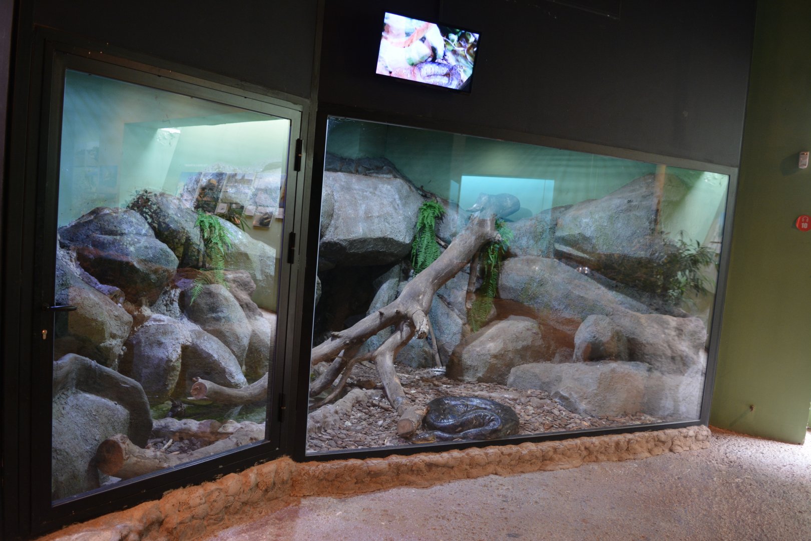Mekong River - Enclosure for reticulated python