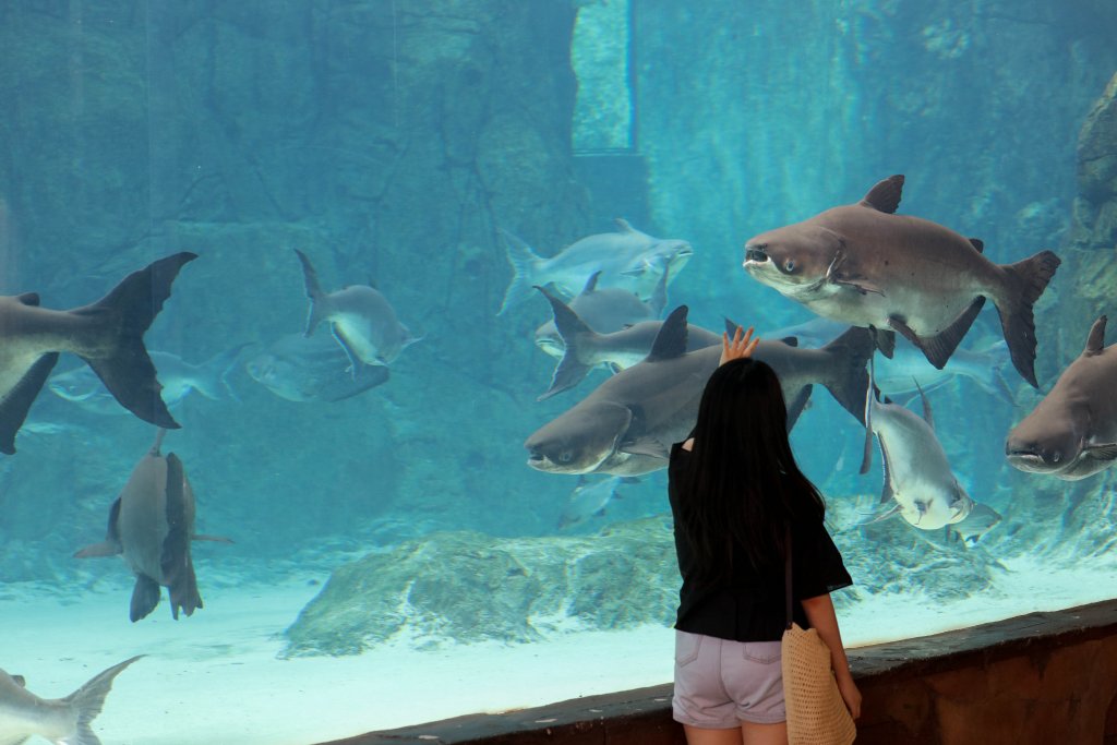 Mekong River exhibit
