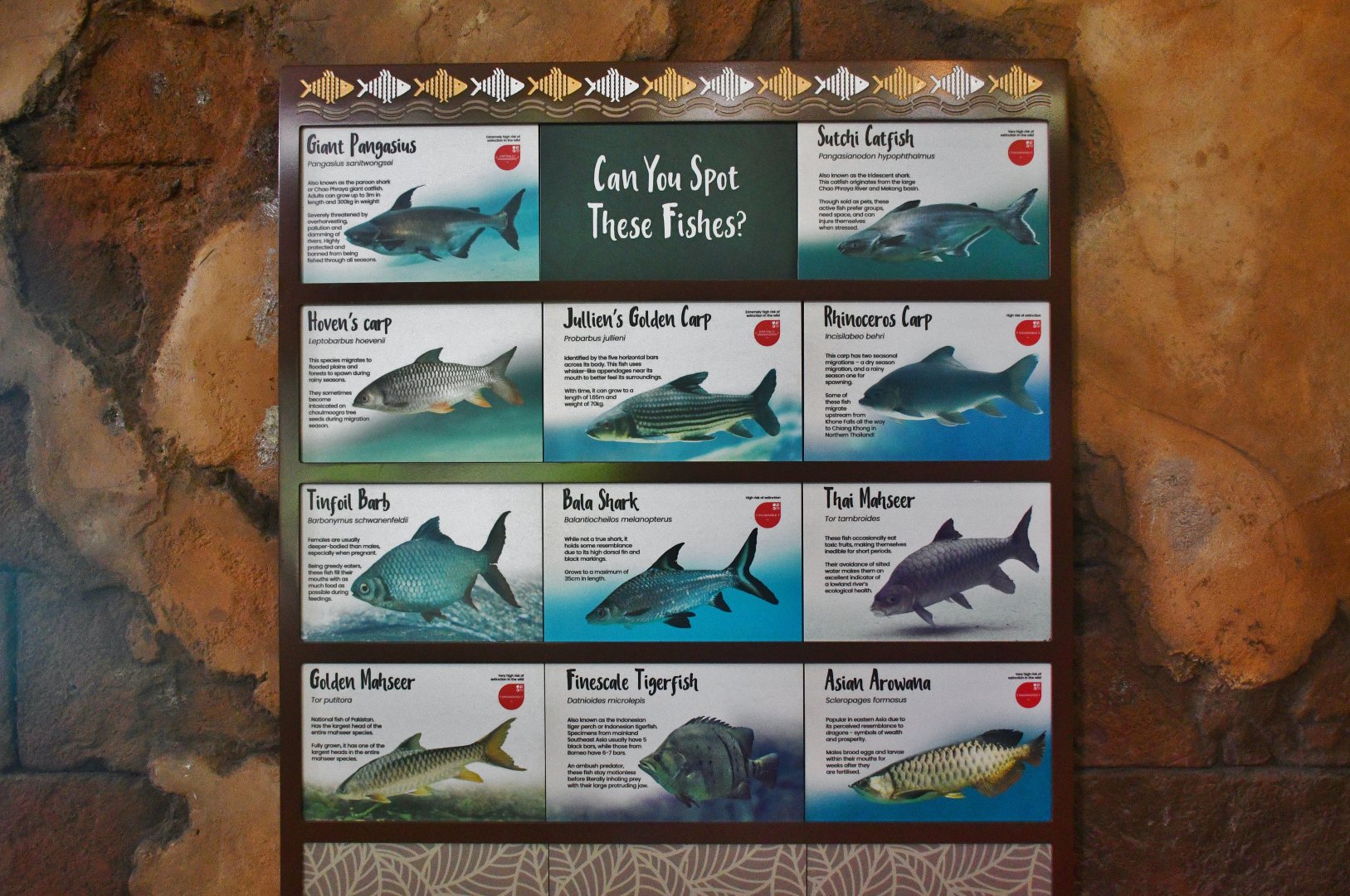 Mekong River fish ID sign