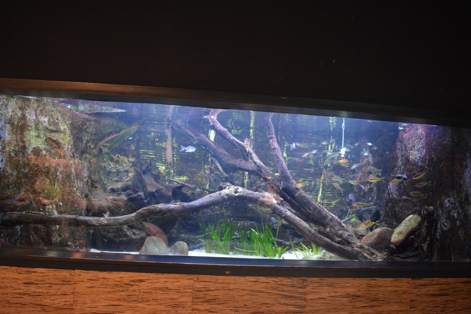 Mekong River - Kerala Meruvambayi River