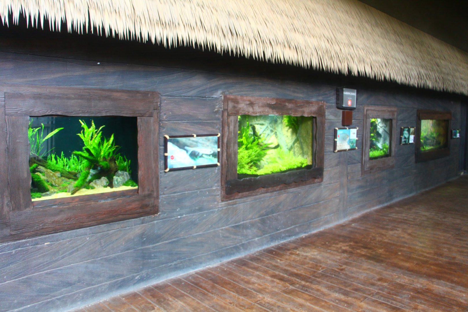 Mekong River - Mekong Jewels