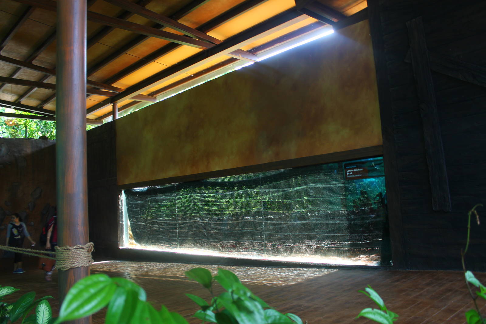 Mekong River - Paddy Field exhibit