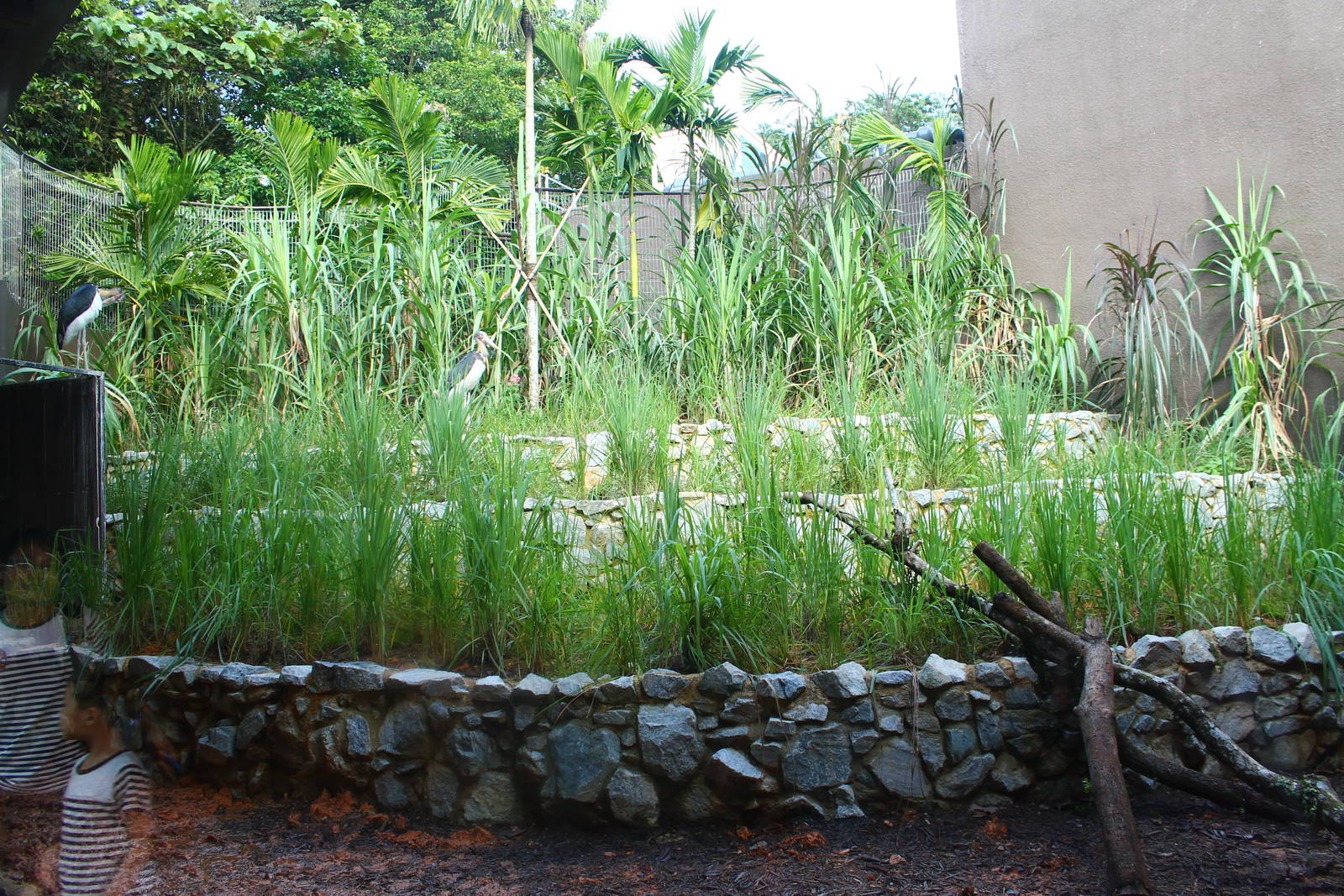 Mekong River - Paddy Field exhibit