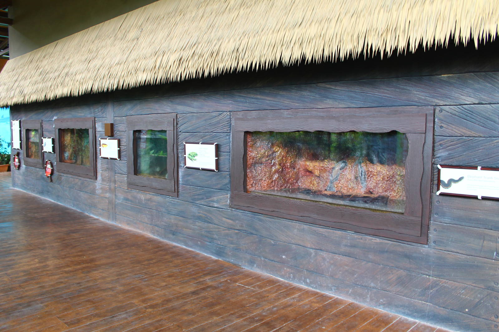 Mekong River - Small tank displays