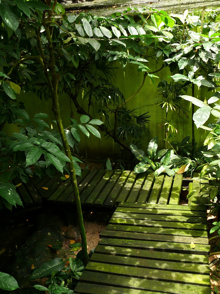 Melaka Butterfly and Reptile Park - walk-through snake exhibit