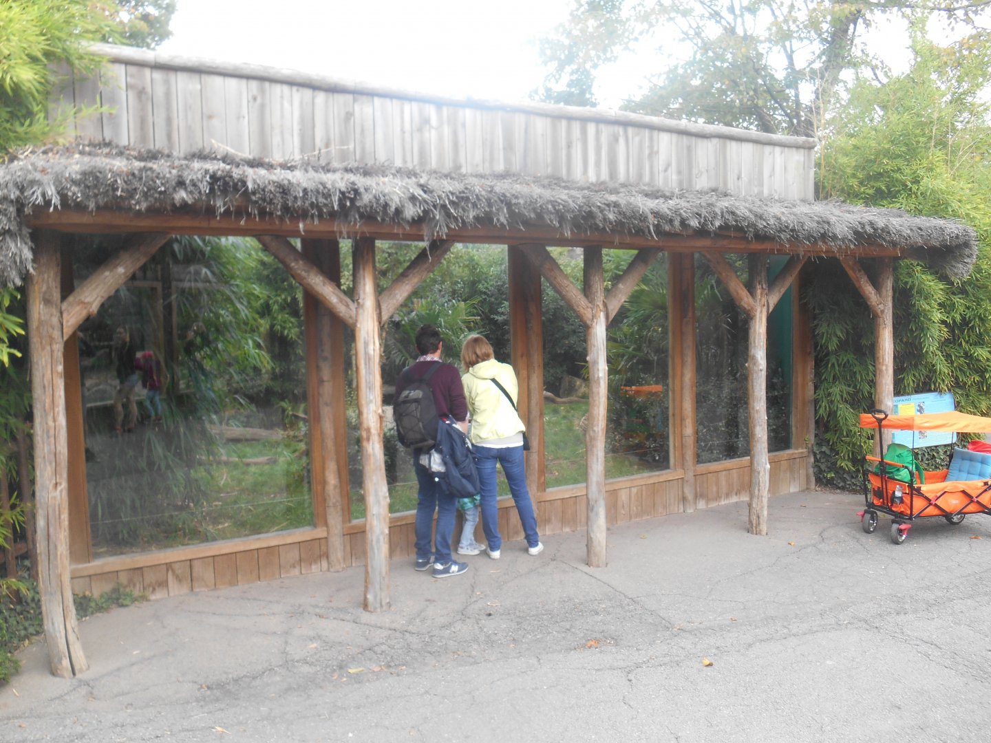 Melanistic Leopards Exhibit