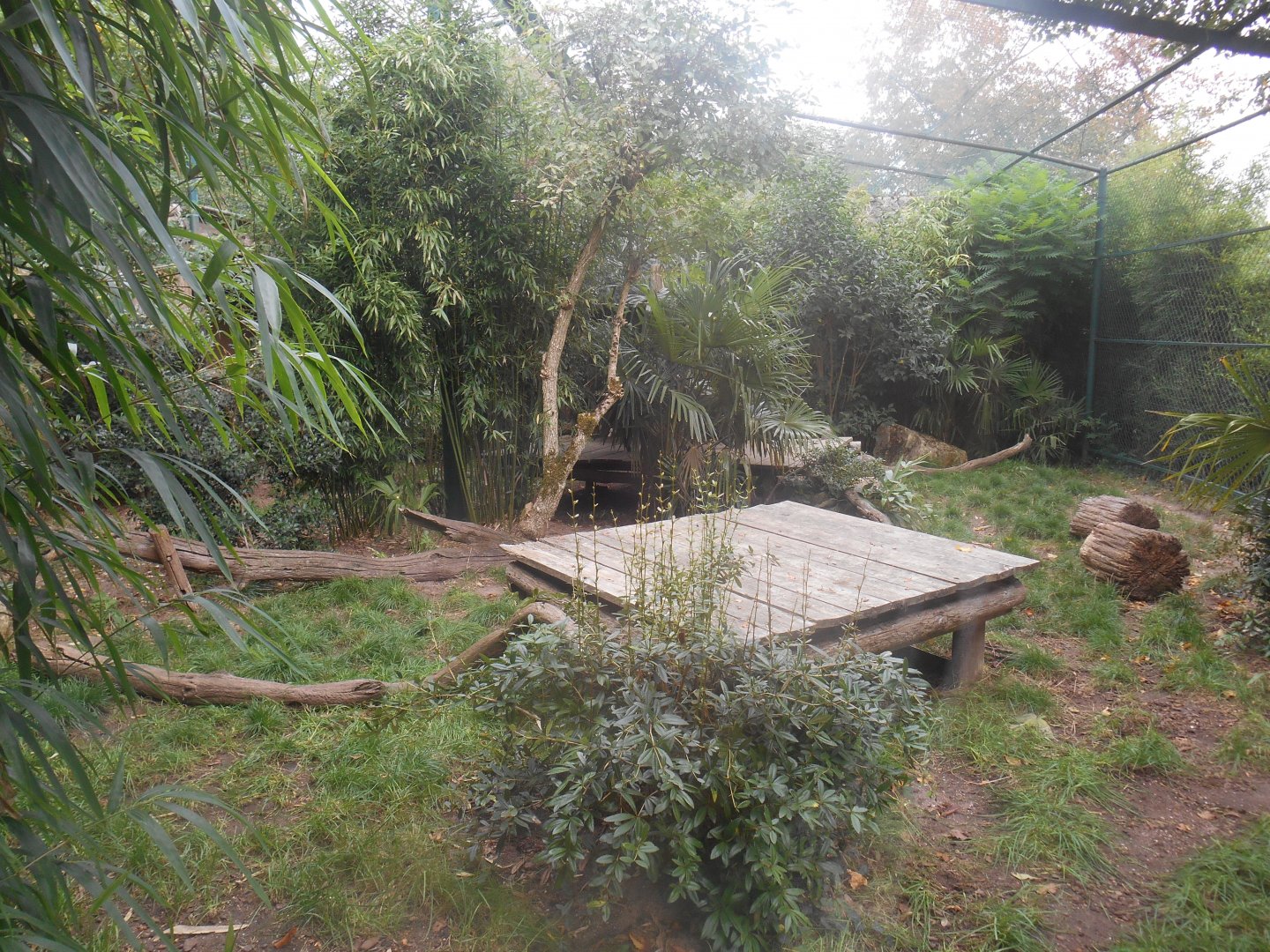 Melanistic Leopards Exhibit
