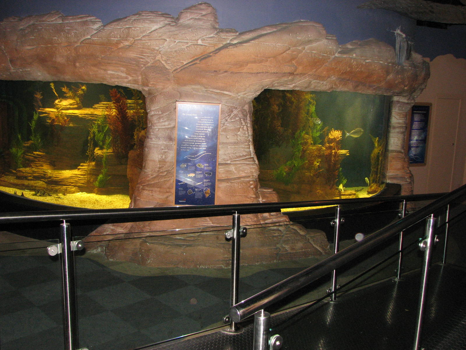 Melbourne Aquarium - General view